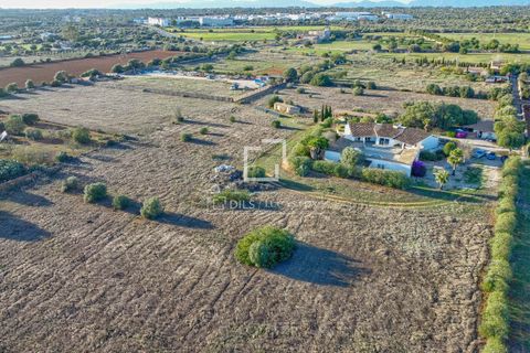 Landejendom i Llucmajor, Mallorca, Llucmajor - € 2.000.000 | Ref: MAL62906 - foto 32