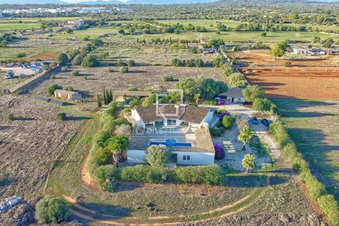 Landejendom i Llucmajor, Mallorca, Llucmajor - € 2.000.000 | Ref: MAL62906 - foto 35