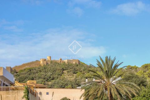 Erhvervsejendom i Capdepera, Mallorca, Capdepera - € 1.300.000 | Ref: MAL63211 - foto 2