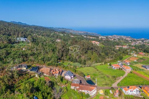 Helårsgrund i Santana, Madeira, Santana - € 350.000 | Ref: 11943-FS - foto 13