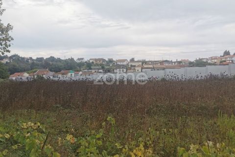 Farm i Pedroso, Porto, Pedroso - € 520.000 | Ref: ZMPT581941 - foto 17