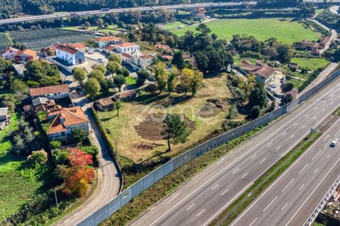Farm i Pedroso, Porto, Pedroso - € 520.000 | Ref: ZMPT581941 - foto 3
