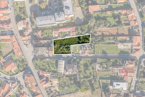 Grond in Cortegaca, Aveiro, Cortegaca - € 225.000 | Ref: ZMPT582669 - foto 8