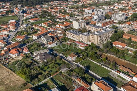Grond in Cortegaca, Aveiro, Cortegaca - € 225.000 | Ref: ZMPT582669 - foto 16