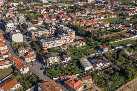 Grond in Cortegaca, Aveiro, Cortegaca - € 225.000 | Ref: ZMPT582669 - foto 17