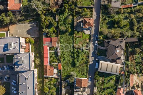 Grond in Cortegaca, Aveiro, Cortegaca - € 225.000 | Ref: ZMPT582669 - foto 18