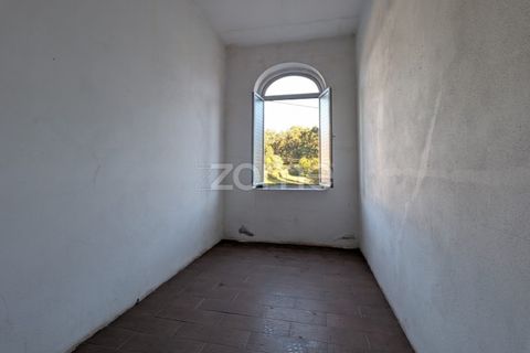 Farm i Arouca, Aveiro, Arouca - € 325.000 | Ref: ZMPT582625 - foto 26