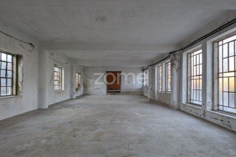 Farm i Arouca, Aveiro, Arouca - € 325.000 | Ref: ZMPT582625 - foto 32