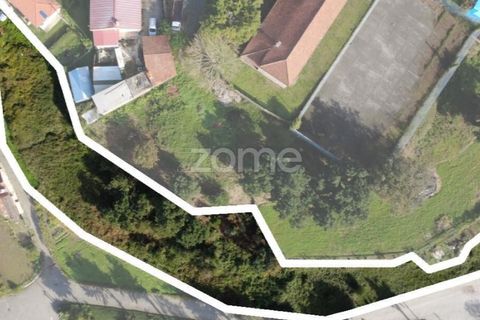 Helårsgrund i Arouca, Aveiro, Arouca - € 55.000 | Ref: ZMPT582652 - foto 5