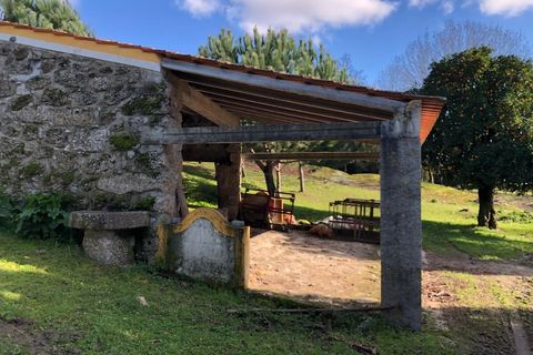 Farm i Carregal do Sal, Viseu, Carregal do Sal - € 350.000 | Ref: SALI0260 - foto 2