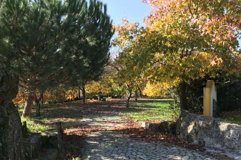 Farm i Carregal do Sal, Viseu, Carregal do Sal - € 350.000 | Ref: SALI0260 - foto 4