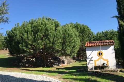 Farm i Carregal do Sal, Viseu, Carregal do Sal - € 350.000 | Ref: SALI0260 - foto 5