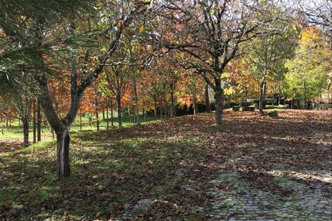 Farm i Carregal do Sal, Viseu, Carregal do Sal - € 350.000 | Ref: SALI0260 - foto 8