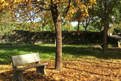 Farm i Carregal do Sal, Viseu, Carregal do Sal - € 350.000 | Ref: SALI0260 - foto 18