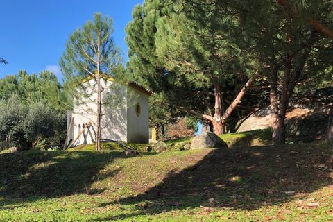 Farm i Carregal do Sal, Viseu, Carregal do Sal - € 350.000 | Ref: SALI0260 - foto 20