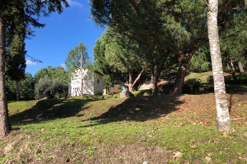 Farm i Carregal do Sal, Viseu, Carregal do Sal - € 350.000 | Ref: SALI0260 - foto 21
