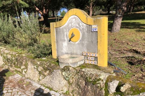 Farm i Carregal do Sal, Viseu, Carregal do Sal - € 350.000 | Ref: SALI0260 - foto 22