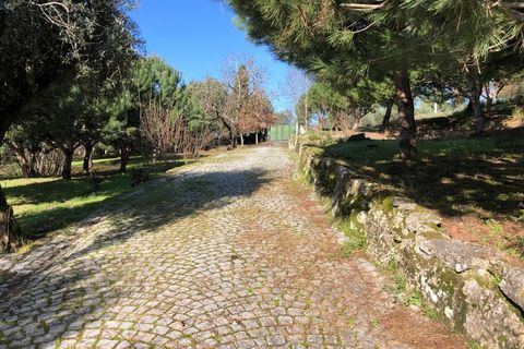 Farm i Carregal do Sal, Viseu, Carregal do Sal - € 350.000 | Ref: SALI0260 - foto 24