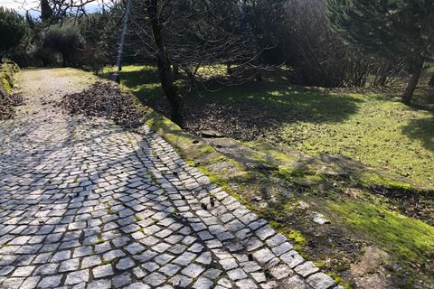 Farm i Carregal do Sal, Viseu, Carregal do Sal - € 350.000 | Ref: SALI0260 - foto 25