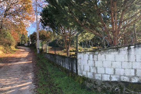 Farm i Carregal do Sal, Viseu, Carregal do Sal - € 350.000 | Ref: SALI0260 - foto 26