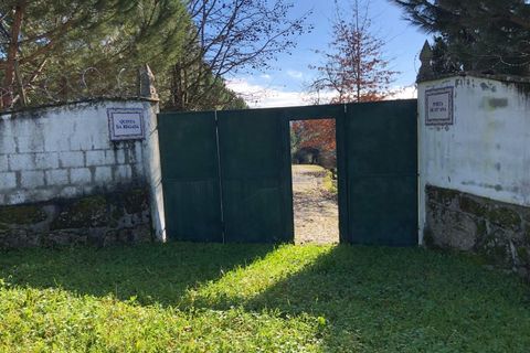 Farm i Carregal do Sal, Viseu, Carregal do Sal - € 350.000 | Ref: SALI0260 - foto 27