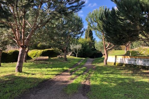 Farm i Carregal do Sal, Viseu, Carregal do Sal - € 350.000 | Ref: SALI0260 - foto 29