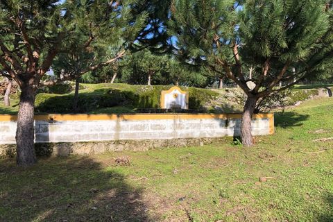 Farm i Carregal do Sal, Viseu, Carregal do Sal - € 350.000 | Ref: SALI0260 - foto 30