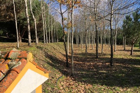 Farm i Carregal do Sal, Viseu, Carregal do Sal - € 350.000 | Ref: SALI0260 - foto 31