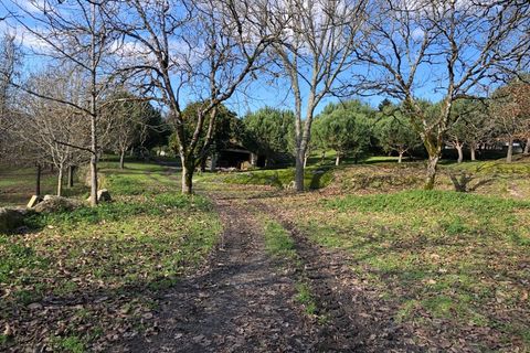 Farm i Carregal do Sal, Viseu, Carregal do Sal - € 350.000 | Ref: SALI0260 - foto 32