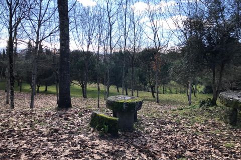Farm i Carregal do Sal, Viseu, Carregal do Sal - € 350.000 | Ref: SALI0260 - foto 34