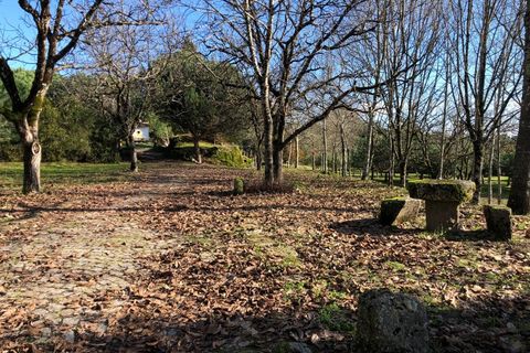 Farm i Carregal do Sal, Viseu, Carregal do Sal - € 350.000 | Ref: SALI0260 - foto 36