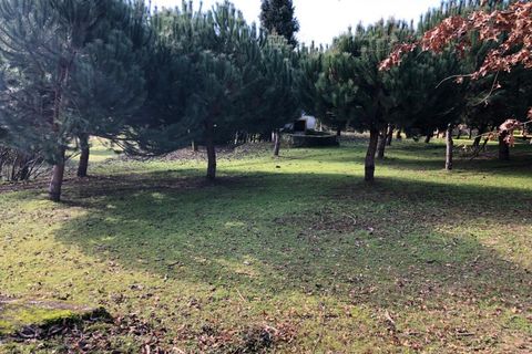 Farm i Carregal do Sal, Viseu, Carregal do Sal - € 350.000 | Ref: SALI0260 - foto 38
