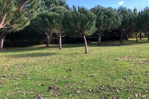 Farm i Carregal do Sal, Viseu, Carregal do Sal - € 350.000 | Ref: SALI0260 - foto 39