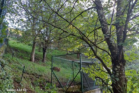 Villa i Le Cheylard, Ardeche, Le Cheylard - € 149.000 | Ref: 428272OIC - foto 6