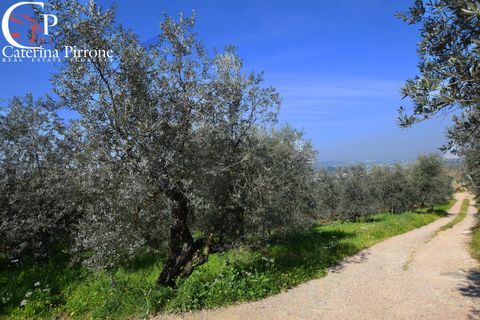 Helårsgrund i Bagno a Ripoli, Florence, Bagno a Ripoli - € 35.000 | Ref: TER13 - foto 1