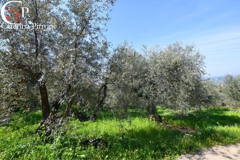 Helårsgrund i Bagno a Ripoli, Florence, Bagno a Ripoli - € 35.000 | Ref: TER13 - foto 2