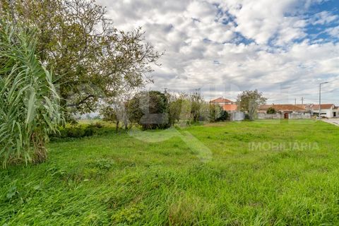 Tomt i Paiao, Coimbra, Paiao - € 39 500 | Ref: HMTER_48 - foto 20