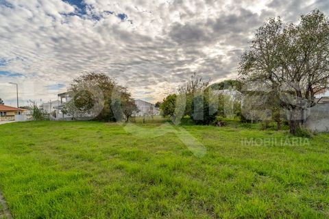 Tomt i Paiao, Coimbra, Paiao - € 39 500 | Ref: HMTER_48 - foto 21