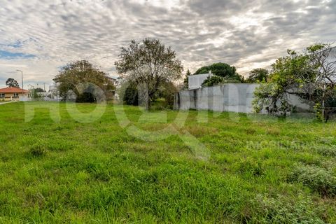 Tomt i Paiao, Coimbra, Paiao - € 39 500 | Ref: HMTER_48 - foto 22