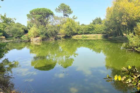 Villa i Cugand, Vendee, Cugand - € 230.000 | Ref: 417984CMOC - foto 16
