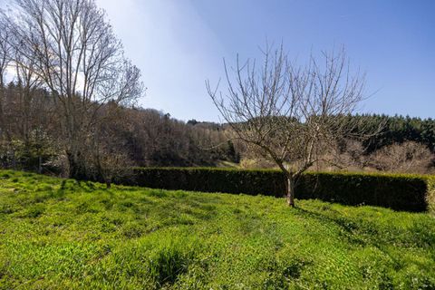 Villa i Violay, Loire, Violay - € 118.000 | Ref: 428200CLN - foto 4
