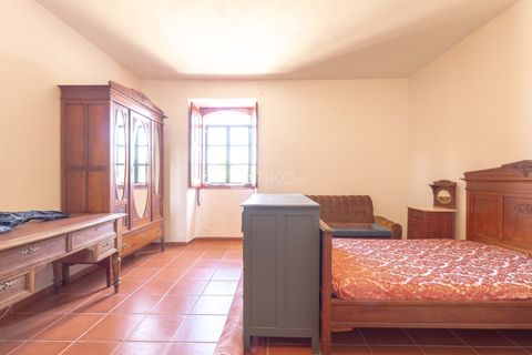 Landejendom i Mertola, Beja, Mertola - € 199.000 | Ref: 20251112-1 - foto 22