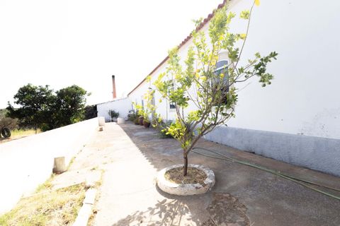 Landejendom i Mertola, Beja, Mertola - € 199.000 | Ref: 20251112-1 - foto 33