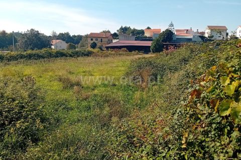 Helårsgrund i Viana do Castelo, Viana do Castelo, Viana do Castelo - € 25.000 | Ref: 254250258 - foto 1