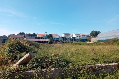 Helårsgrund i Viana do Castelo, Viana do Castelo, Viana do Castelo - € 25.000 | Ref: 254250258 - foto 4