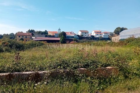 Helårsgrund i Viana do Castelo, Viana do Castelo, Viana do Castelo - € 25.000 | Ref: 254250258 - foto 5