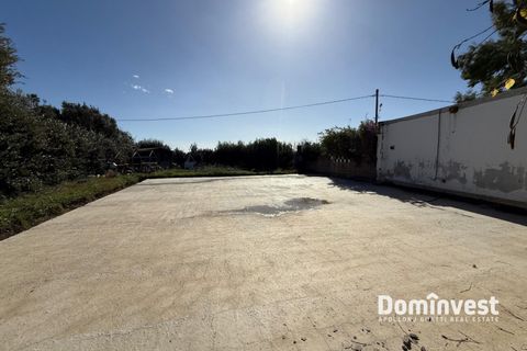 Villa i Capalbio, Grosseto, Capalbio - € 400.000 | Ref: v-0129 - foto 5