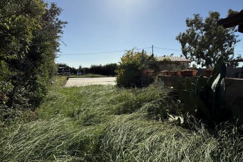 Villa i Capalbio, Grosseto, Capalbio - € 400.000 | Ref: v-0129 - foto 7