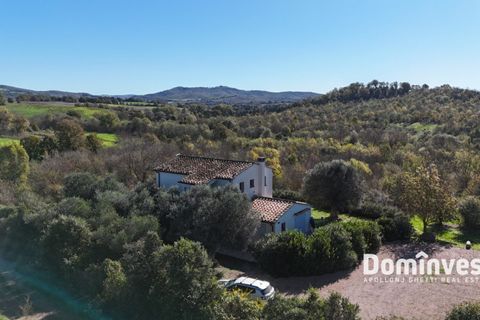 Villa i Capalbio, Grosseto, Capalbio - € 1.100.000 | Ref: v-221 - foto 7