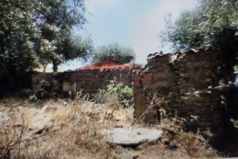 Villa i Nisa, Portalegre, Nisa - € 30.125 | Ref: 221130 - foto 2